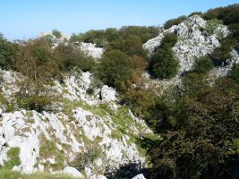 Gainaldeko eremu karstikoa