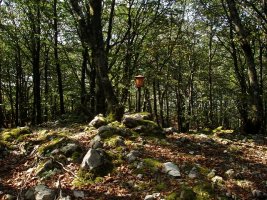 Larrazpilgo gailurra