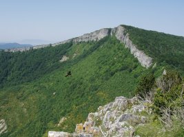 Larrogain Aintzioatik