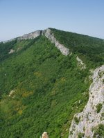 Larrogain Aintzioatik