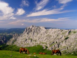 Tontorra Urkiolagirretik ikusita