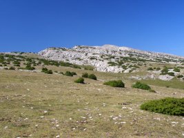 Ipar-ekialdetik ikusita