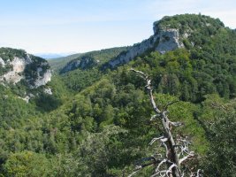 Benasako arroilaren goiko aldea