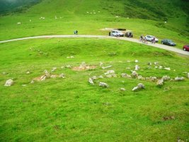 Azpegiko Lepoko harrespilak