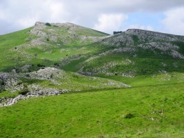 Leizaundi , Organbideko lepotik