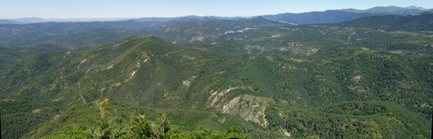 Txitxirimuria, Kukulatik ikusita