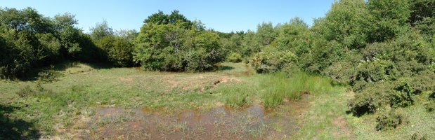 Putzua, tontorraren inguruan