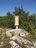 Txanburuko txartelontzia