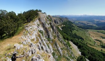 Berrendiko ekialdeko gandorra