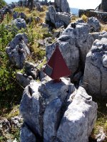 Tx. Nanki GMk jarritako buzoia