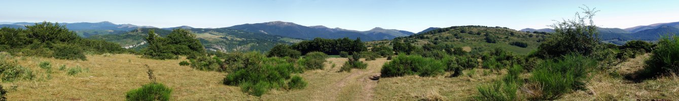 Panorama Zelane lepotik. Lehen planoan, Ugaibel