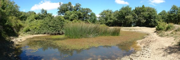 Putzua, Egillor aldeko bidearen bazterrean