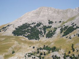 Peruaitzetik ikusita