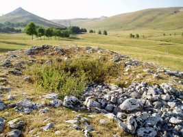 Pagobakoitza trikuharria