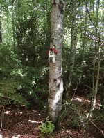 Gailurretik hegoalderago (eta beherago) txartelontziak daude