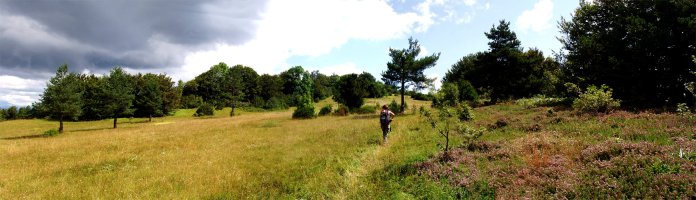 Gainaldeko belardiak