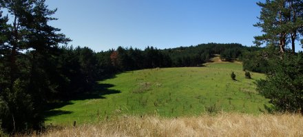 Monterriako gainaldea eta gasbidea