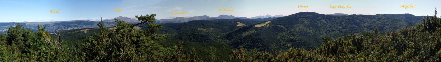 Panoramika Monterriatik ekialderantz