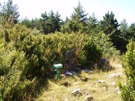 Monterriako gailurra