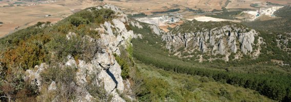 Peñartea izeneko zintzurra IMan