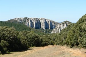 Penarteako zintzurra