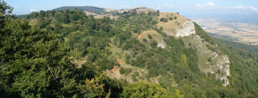 Bellekutik Legaire aldera begira