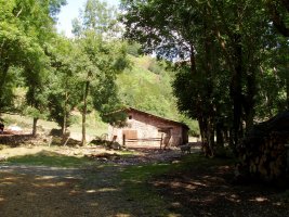 Lantz inguruko borda