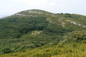 Orrontze Orraunaunditik