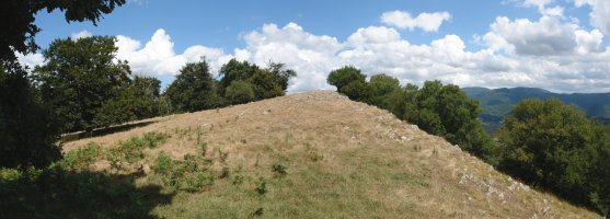 Mendigaña tontorra hegoaldetik