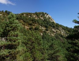 Iburtu haitza, Iburtu sakaneko bidetik