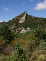 Iburtu haitza ekialdetik