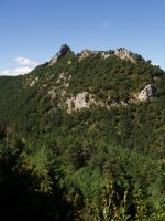 Iburtu haitza ekialdetik