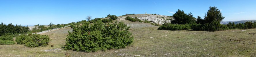 Tontorra Hegoaldeko bizkarretik