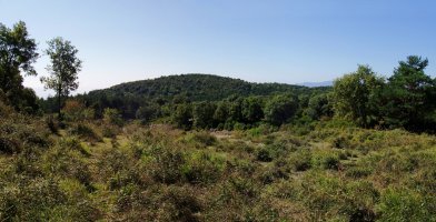 Zarikietako gailurra, Salbatoreko lepotik