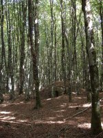 Zobeta (953m) mendiko gailurreko bunkerra