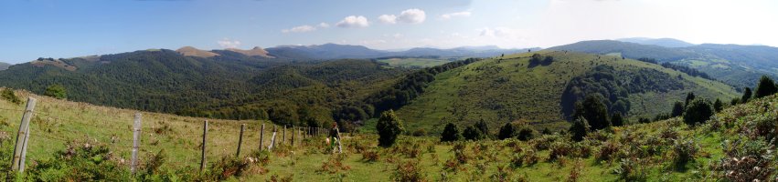 Mendibitarteko lepora jaisten