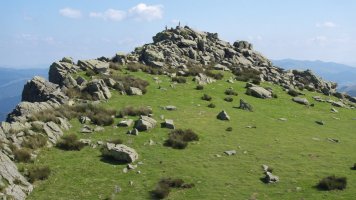 Tontorra Mendebaldetik