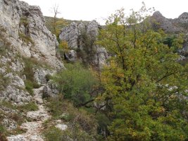 Bakedanoko portu zaharra