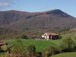 Aizkolegi Orabideatik