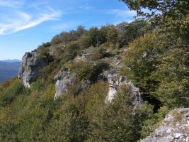 Mendebaldeko amildegiak