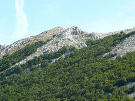 Burgalaitz Aldetik Ikusita