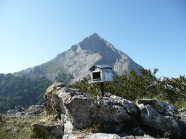 Buzoia.Atzean Anboto