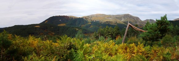 Otsogorrigañe Mintxatetik