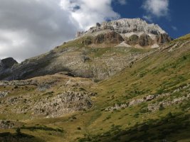 Napazaleko belarditik ikusita