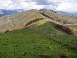 Argarai eta Mehatze Laurinagatik 