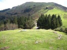 Kauso II  harrespila