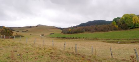 Santa Agedako baseliza, ezpel koroa baten azpian estalita