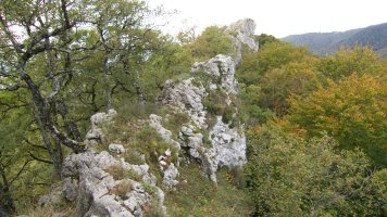 Ekialdeko gandorreko pasartea