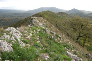 Tontorretik Ekialdera begira