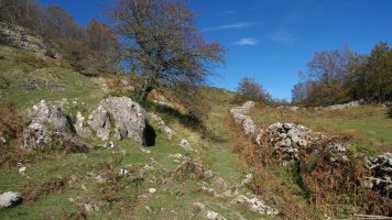GR20 bidearen adar bat Leizadiko hegoaldeko hegian